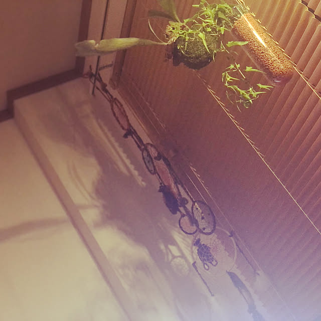 nanasaoさんの実例写真