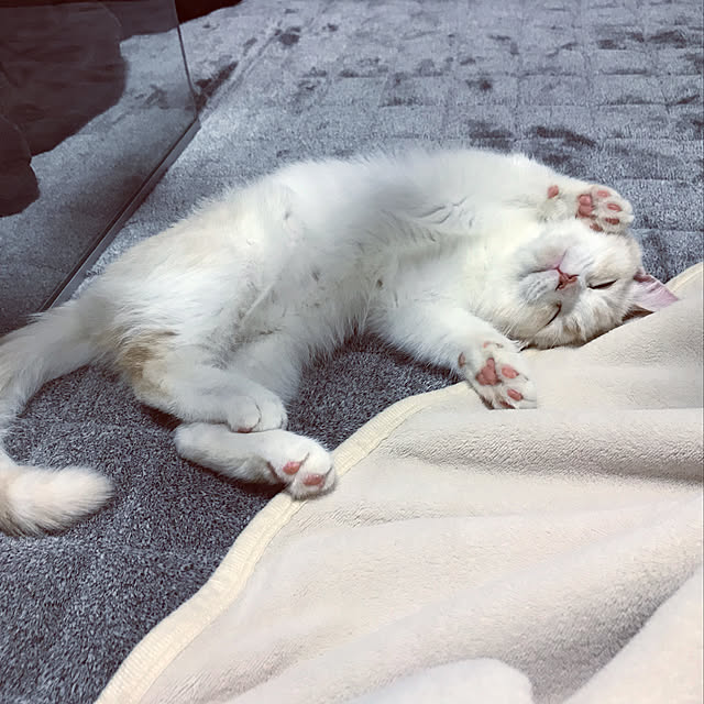 H.Tさんの実例写真