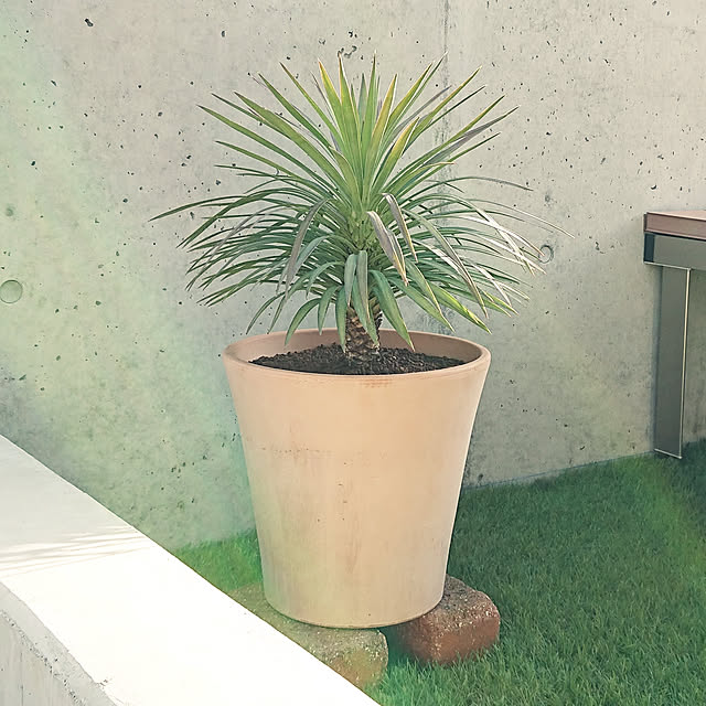 Pict.さんの実例写真