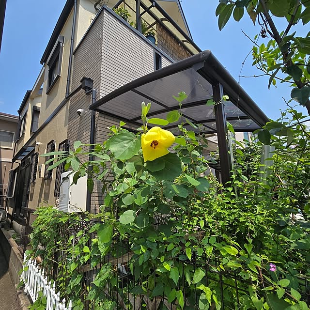 mitsuyama3136さんの部屋