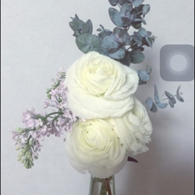 Amiさんの実例写真