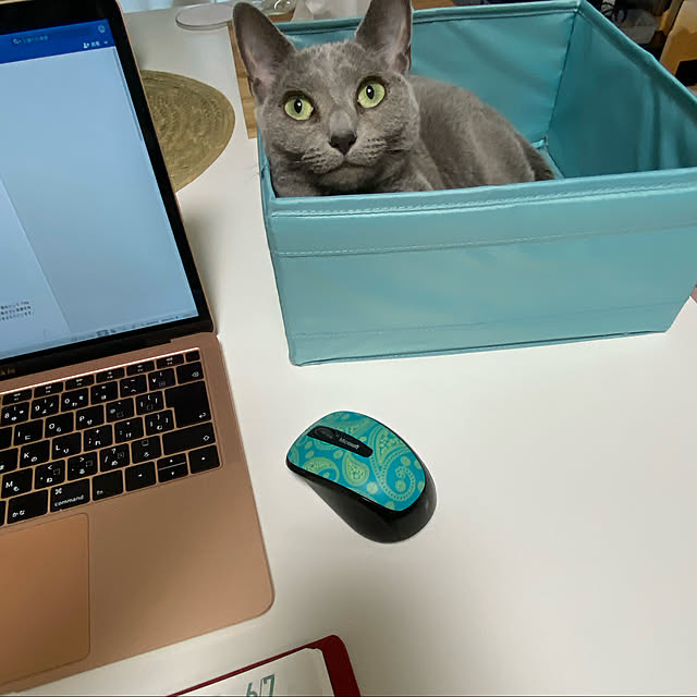 meさんの実例写真