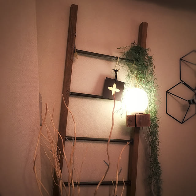 nepenthesさんの実例写真