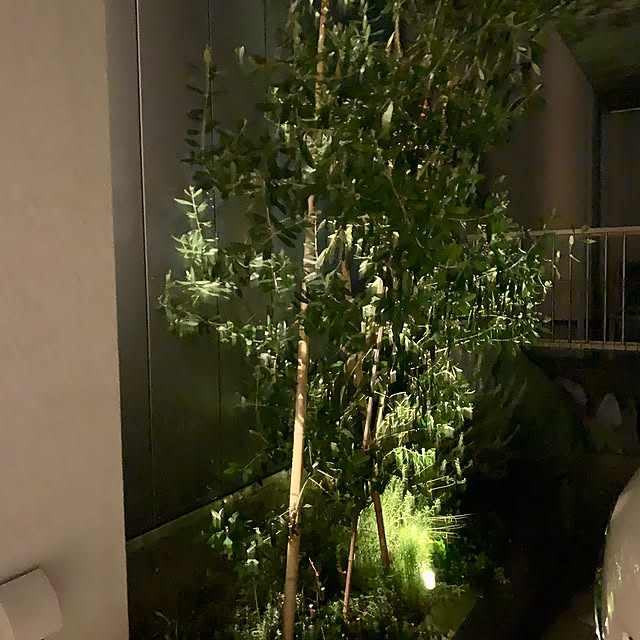 Minteaさんの部屋