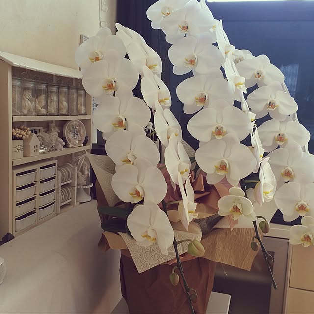 aya414さんの実例写真