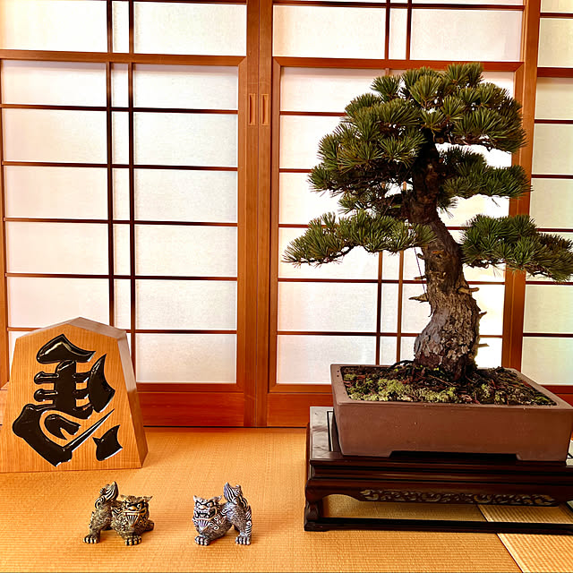 ++akira++さんの実例写真