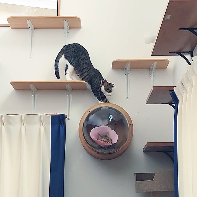 mochicoさんの実例写真