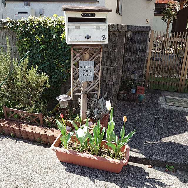 fukuさんの実例写真