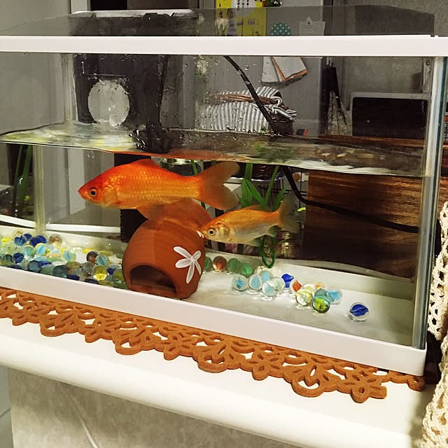 mamemako429さんの実例写真