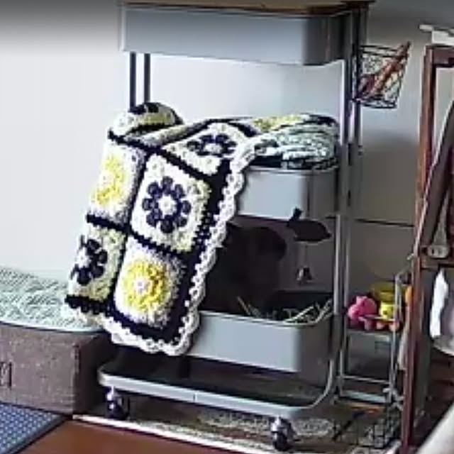 kirariさんの部屋