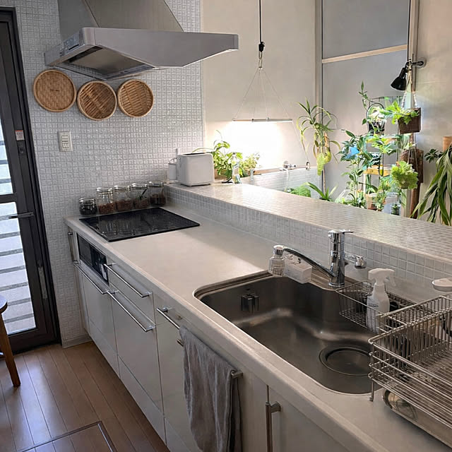 greycatsさんの部屋