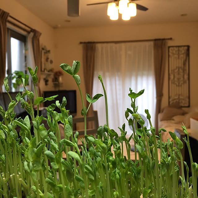 yunaさんの実例写真