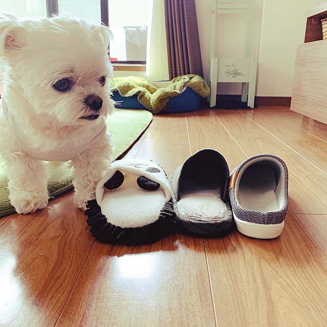 moco.nさんの実例写真