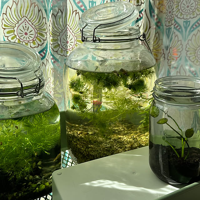 S_homeさんの部屋