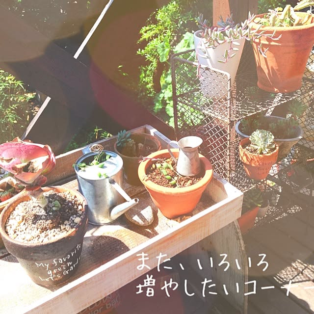38coreさんの実例写真