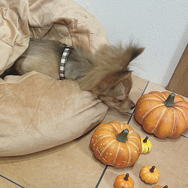 nnramさんの部屋