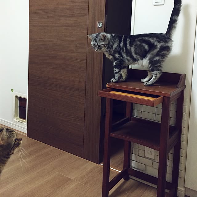 mikomaruさんの実例写真