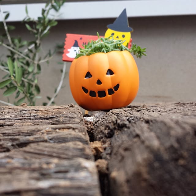 nobuさんの実例写真