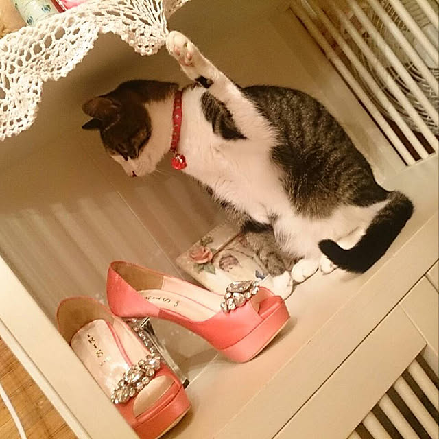 chamさんの実例写真