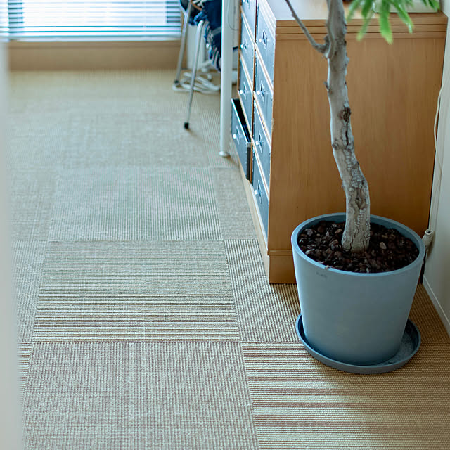 hinatabirdさんの部屋