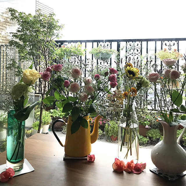 fuyiqian1026さんの実例写真