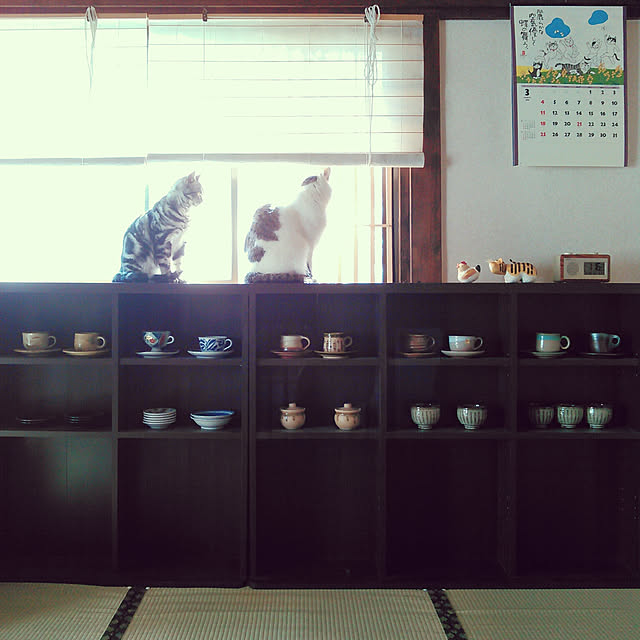 amelliaさんの実例写真