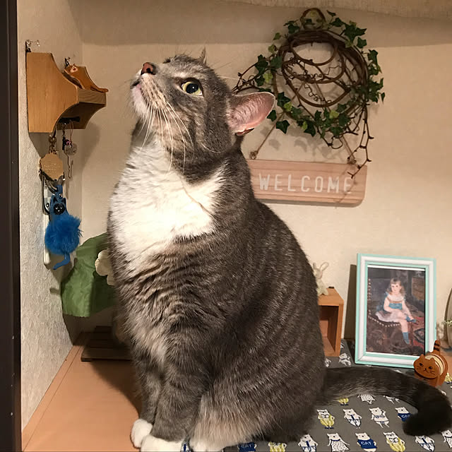 Machikoさんの実例写真