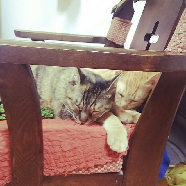 coroさんの実例写真