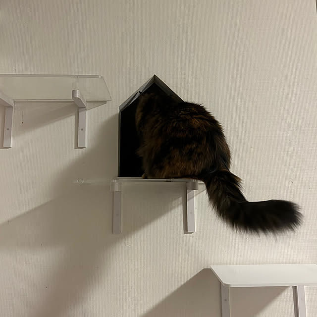mikomaruさんの実例写真