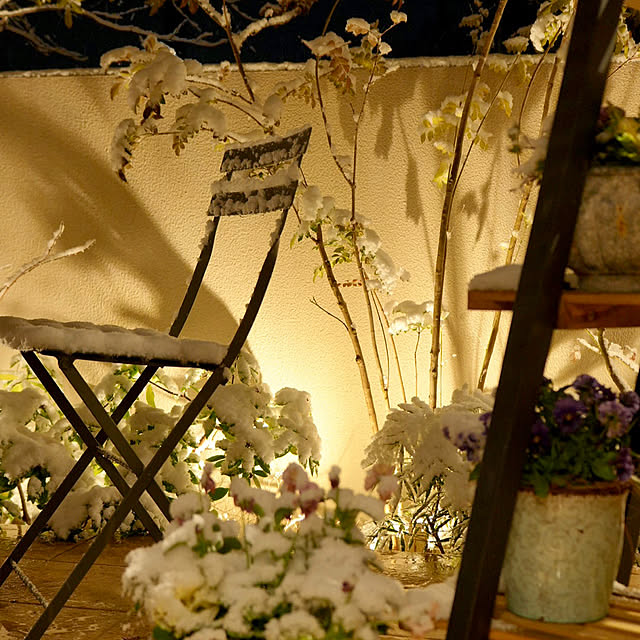 ryuryuさんの実例写真