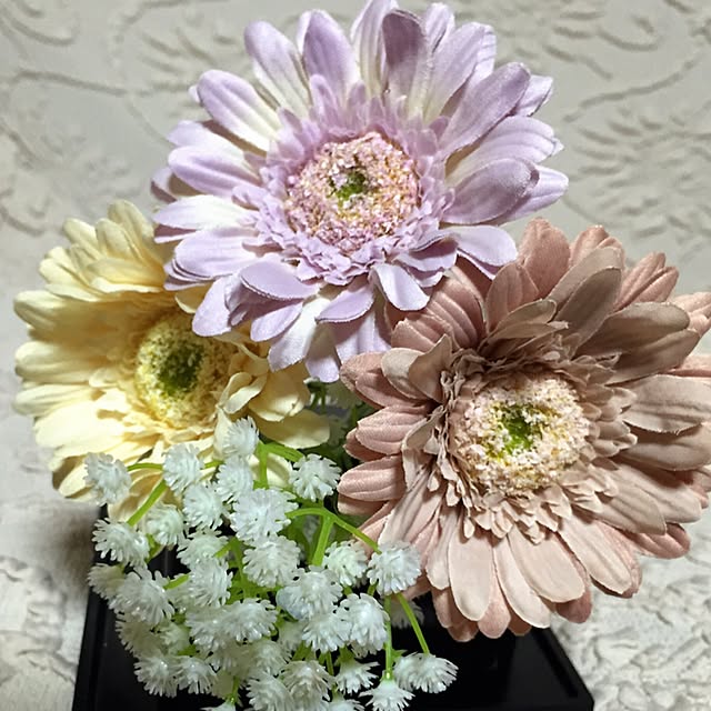 tae0803さんの実例写真