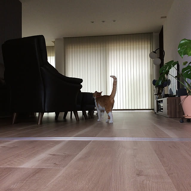 houenさんの実例写真