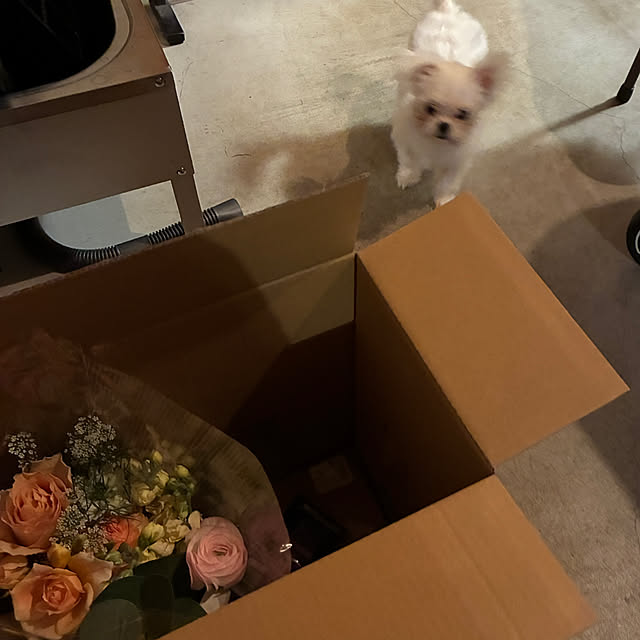 mkk8739hanasakuさんの部屋