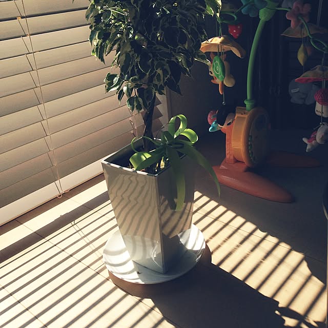 tanoさんの実例写真
