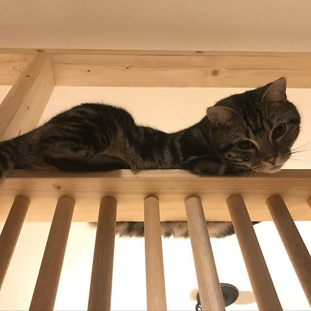 KotarouKunさんの実例写真