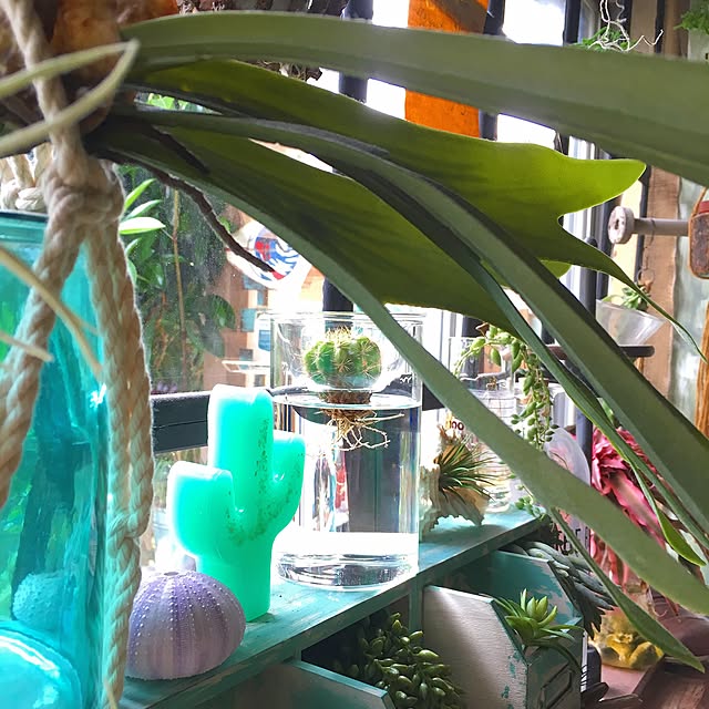edenさんの実例写真