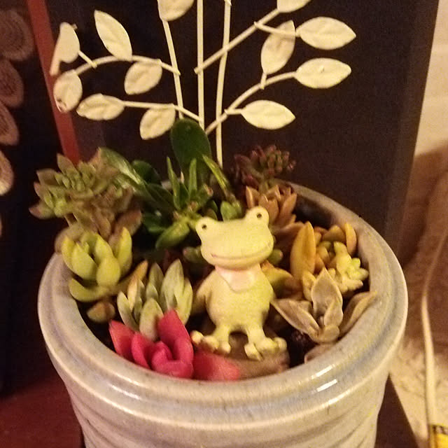 himawari.kiyoさんの実例写真