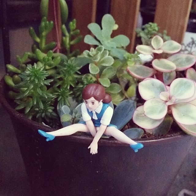 kanaさんの実例写真