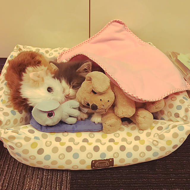 leoさんの実例写真