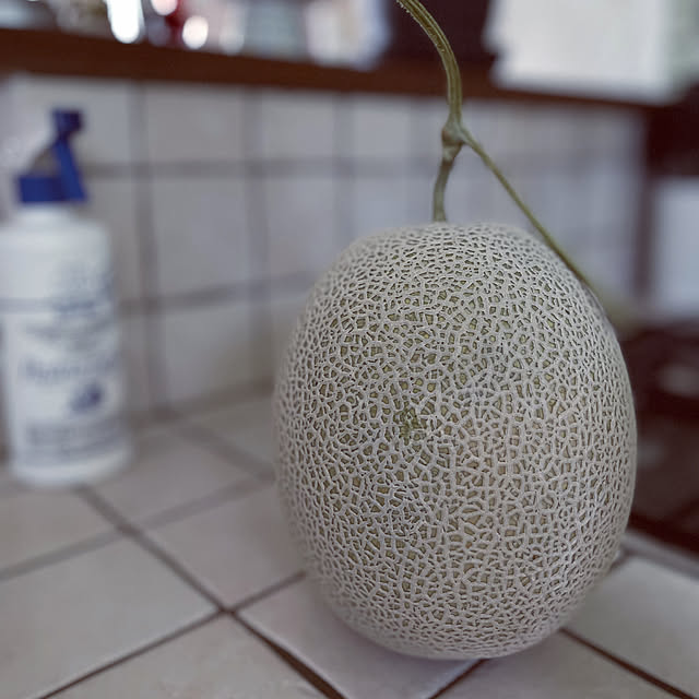 takechiさんの実例写真