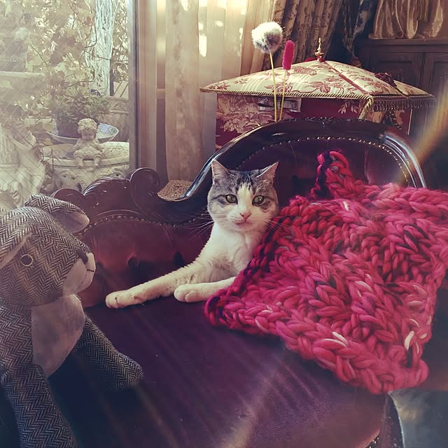 emmyyさんの実例写真