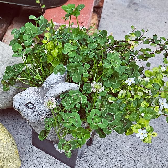 mocomocoさんの部屋