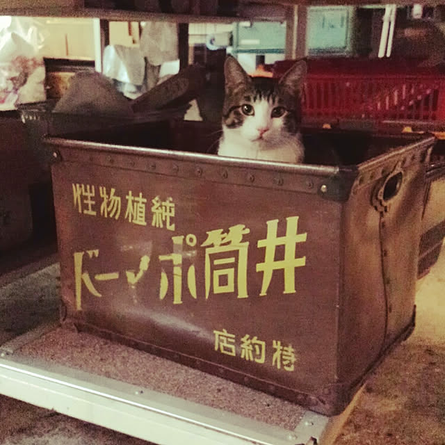 pontaseisakusyoさんの実例写真