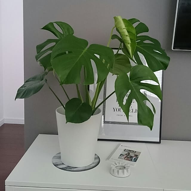 mat.さんの実例写真