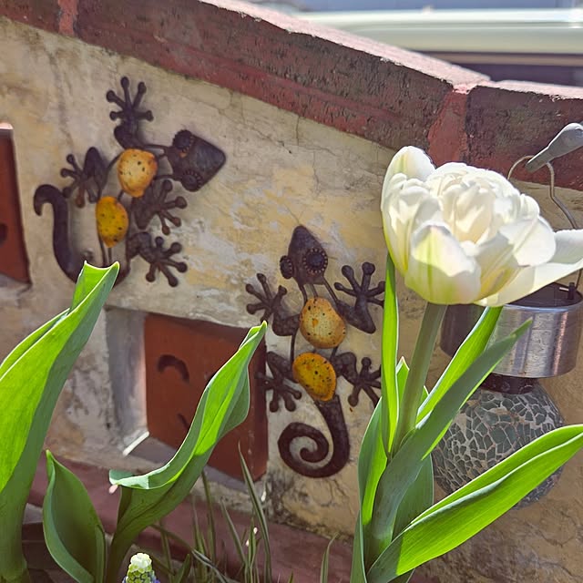 mocomocoさんの部屋