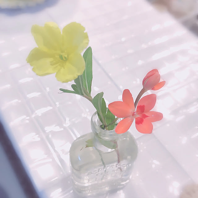 maruchanさんの実例写真