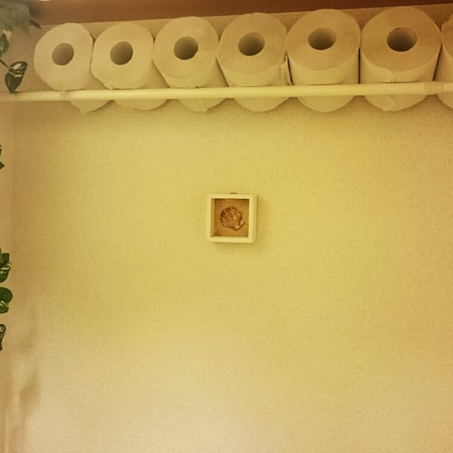 hikaruさんの実例写真