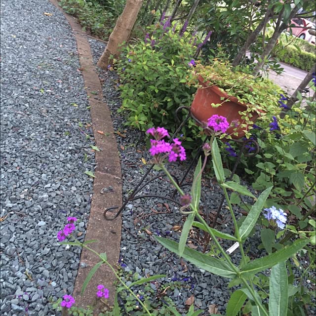 lavenderblueさんの実例写真