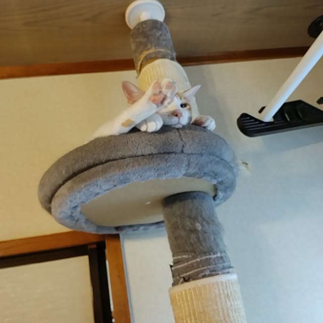 Tさんの実例写真