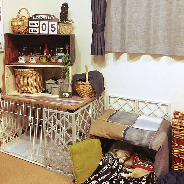 ChipDaleさんの実例写真